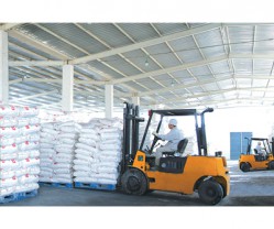 廠(chǎng)容廠(chǎng)貌